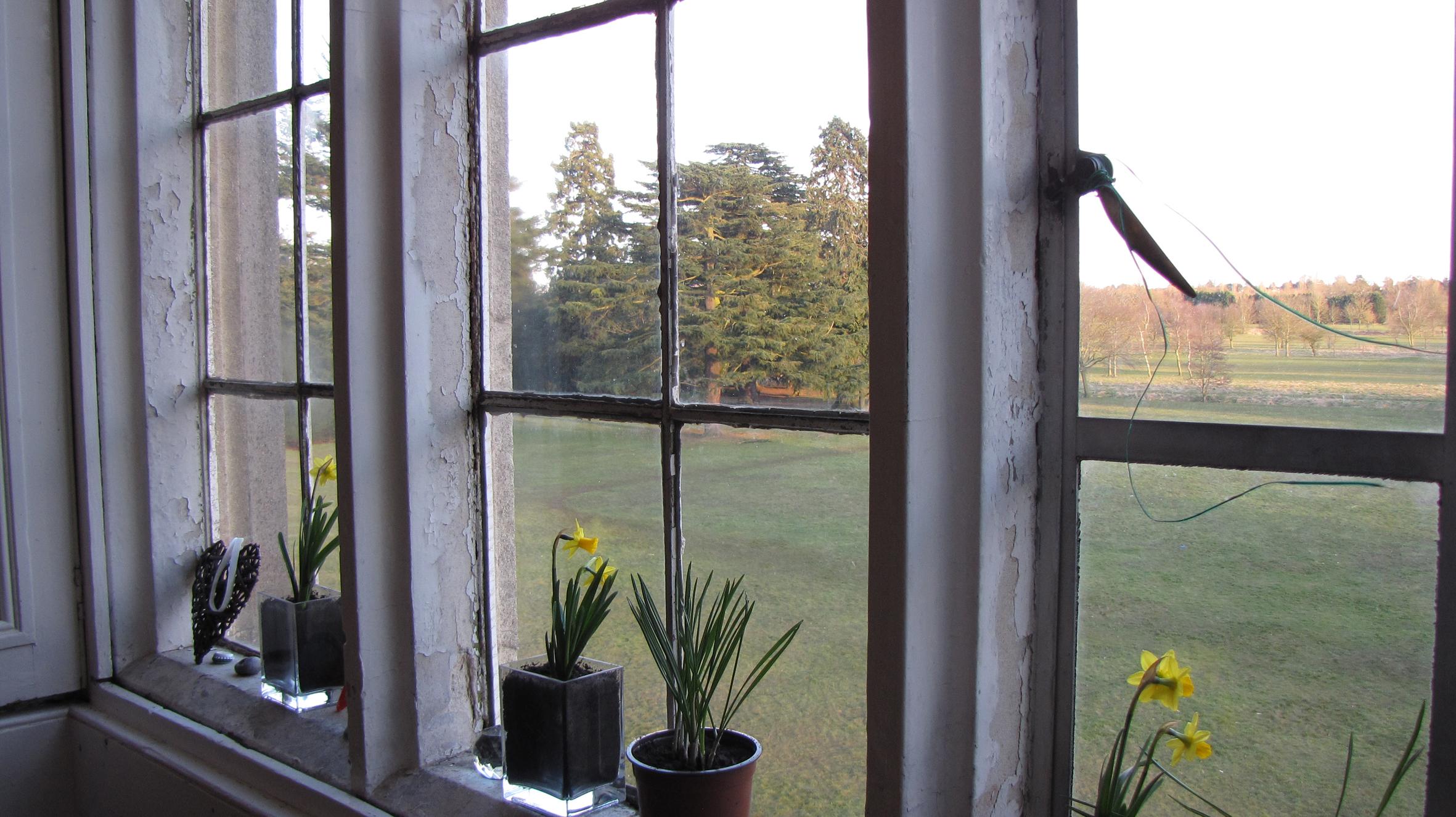 How Vinyl Windows Can Save You Money