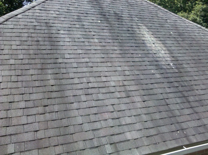 How to Easily Clean Mold off Your Roof