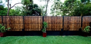 bamboo fence 